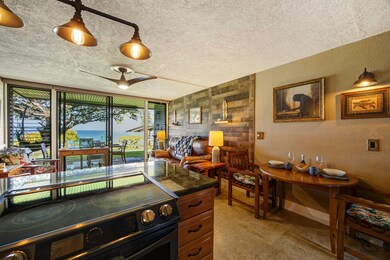 3975 Lower Honoapiilani Rd unit 114, Lahaina, HI 96761 - photo 5