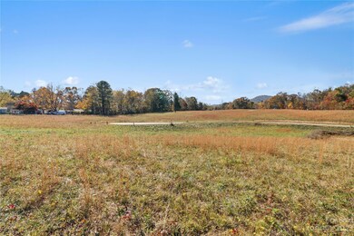 130 Scott Meadows Dr, Asheville, NC 28806 - photo 2