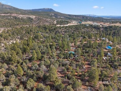 0 W Pine St, Orderville, UT 84758 - photo 4