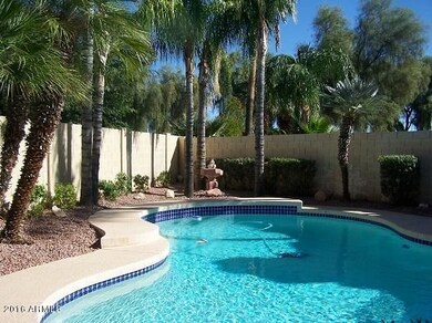 Secluded Backyard with Heated  Pool