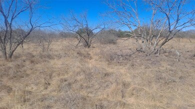 8 Grand View Dr, Brownwood, TX 76801 - photo 6