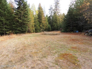 NKA Governors Way, Spirit Lake, ID 83869 - photo 2