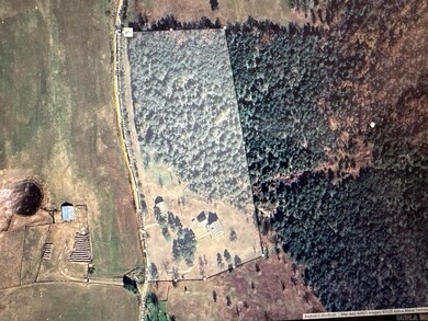 317 Homer Bray Rd, Mount Pleasant, AR 72561 - photo 5