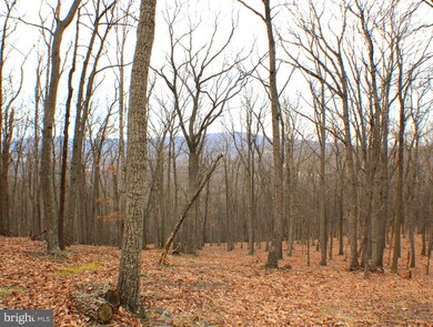 25 Cove Creek, Capon, WV 26801 - photo 4