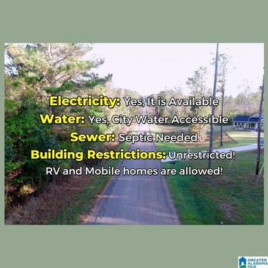 Tract 3B County Road 329, Wedowee, AL 36278 - photo 5