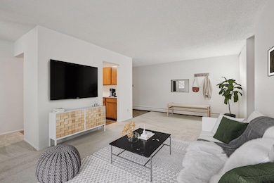 Spacious Family Room