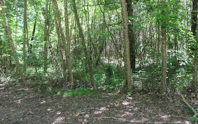 Additional View