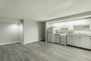 1 bed kitchen