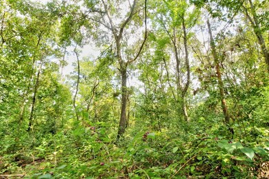 TBD Cr 751, Douglass, TX 75961 - photo 5