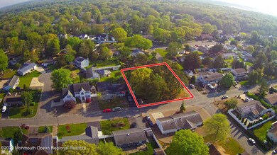 312 Pine Forest (4)