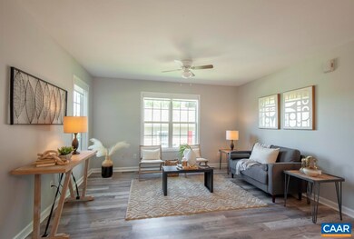 717 Elm St, Charlottesville, VA 22903 - photo 7