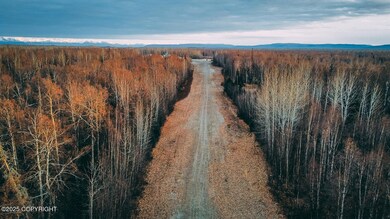 Aerial Runway