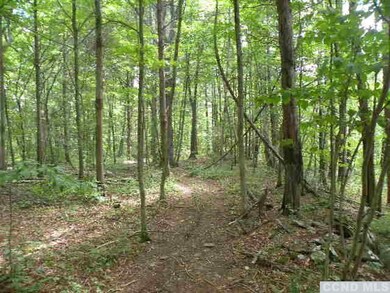 0 9w Route unit 110531, Athens, NY 12015 - photo 5