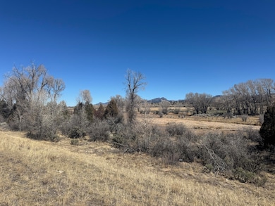 1125 S Juniper Cir, Panguitch, UT 84759 - photo 5