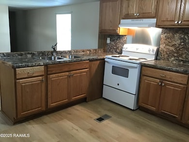 Kitchen sink and Range