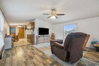 45162 Butch Gore Rd, Prairieville, LA 70769 - photo 3