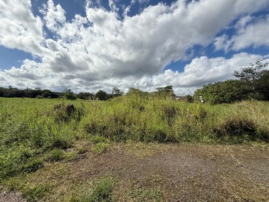 880 Ainalako Rd, Hilo, HI 96720 - photo 7