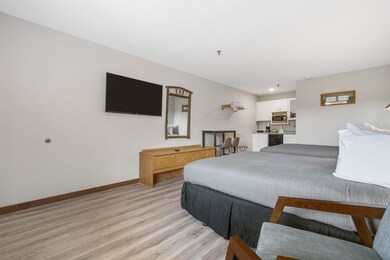 982 Indian Point Rd unit 313, Branson, MO 65616 - photo 4