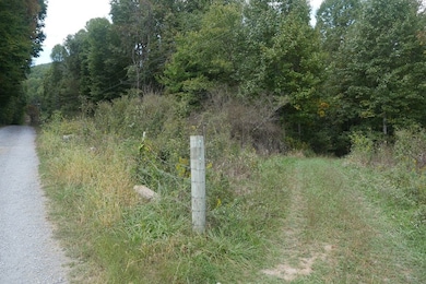 0 Tbd Bryson Cove Rd unit LotWP001, Abingdon, VA 24210 - photo 3