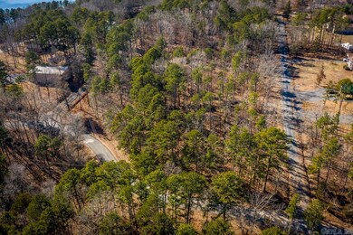 Lot B,C & D Traway Lane Stanfield Rd, Edgemont, AR 72044 - photo 6