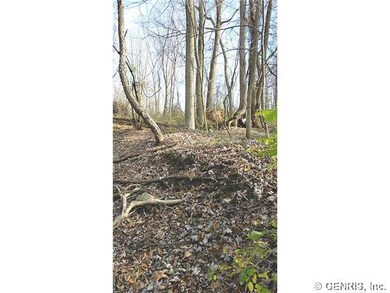 Land/Lot