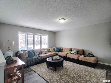 4706 Scott St, Davenport, IA 52806 - photo 3