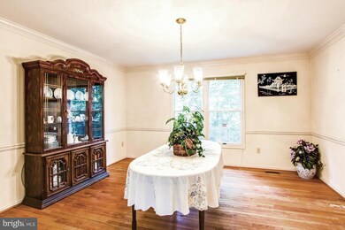 11408 Adagio Terrace, Silver Spring, MD 20901 - photo 4