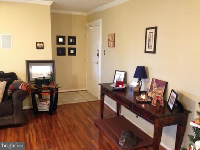3706 N Rosser St unit 202, Alexandria, VA 22311 - photo 2