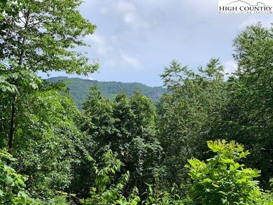 Lot 3 Casey's Gap Rd, Banner Elk, NC 28604 - photo 2