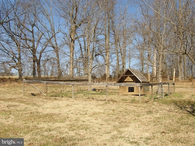 8230 Old Stillhouse Rd, Rixeyville, VA 22737 - photo 4