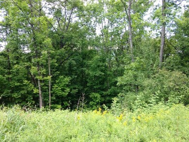 0 Dalton Rd, Dalton, NH 03598 - photo 7