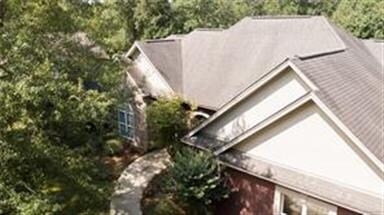 This is an aerial view - notice all the mature tre
