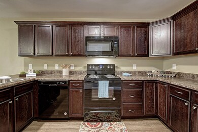 2927 Watauga Rd unit 10, Johnson City, TN 37601 - photo 3