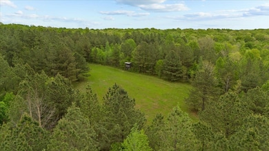 0 Sykes Branch Rd, Waverly, TN 37185 - photo 4