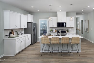 22 Twin Birch Dr, Angier, NC 27501 - photo 5