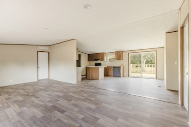 569 Henry Hart Rd, Leslie, GA 31764 - photo 4