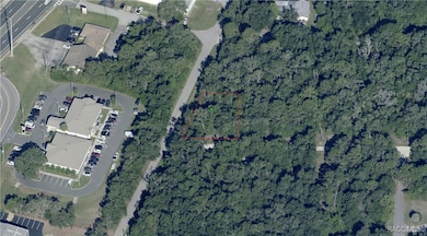 892 S Clarice Terrace, Inverness Highlands North, FL 34453 - photo 3