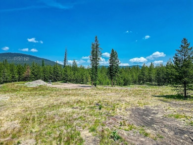 443 McGregor Meadows Rd W, Marion, MT 59925 - photo 7