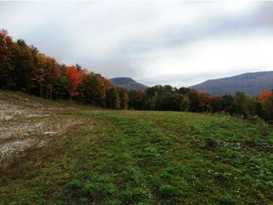 0 Lily Pond Ln unit 4810570, Dorset, VT 05251 - photo 6