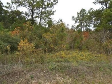 Lot 91 Indian Trail, Lake Brownwood, TX 76801 - photo 4