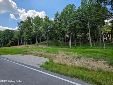 Lot 6 & 7 Driveway