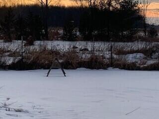 Pond