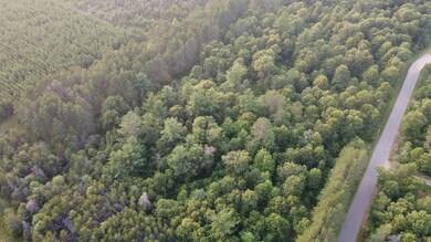 ON Pine Rd N, Tomahawk, WI 54487 - photo 2