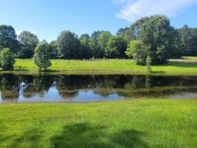 1047 County Road 4452, Bivins, TX 75555 - photo 4