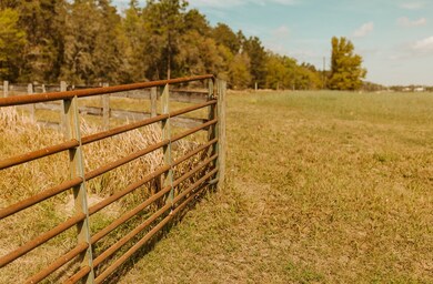 000 SW 180th Ave, Dunnellon, FL 34432 - photo 6