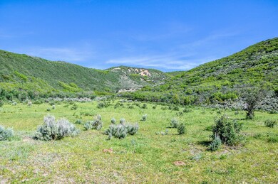 Back Yard/BLM Land adjacent to