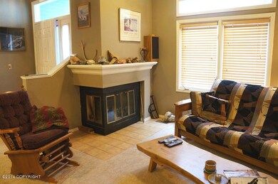Living room fireplace