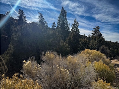 00 Jaidi Rd, Sangre de Cri, CO 81133 - photo 3