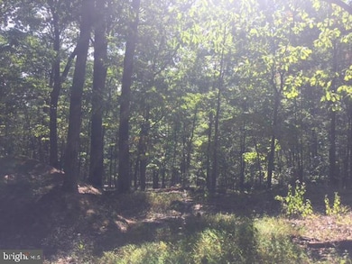 0 Stumpy Ln unit PAFL2031674, Fort Loudon, PA 17224 - photo 5