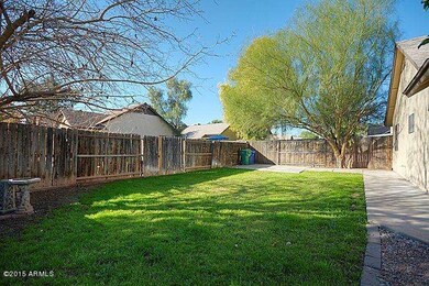 Back yard - west view